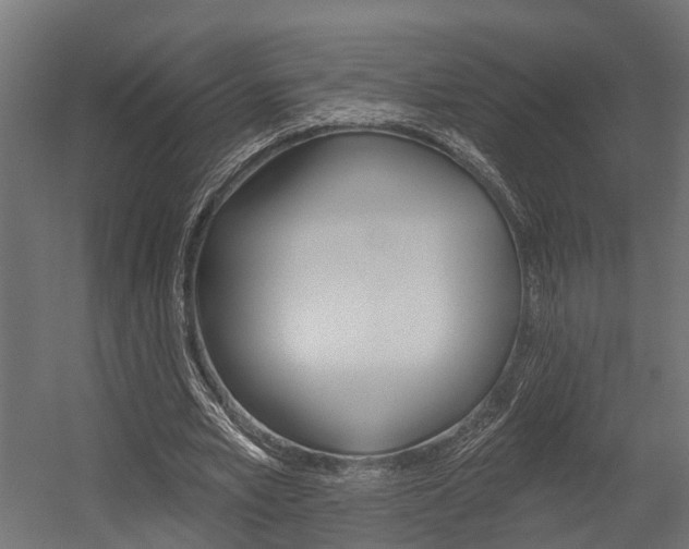 X0000054380581200507290859