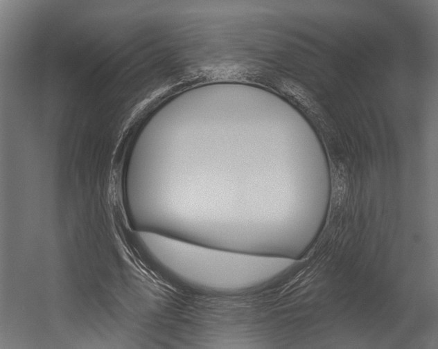 X0000054380583200507290859
