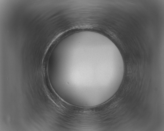 X0000054380584200507290859