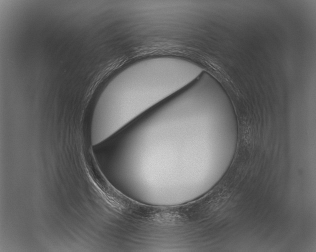X0000054380586200507290859