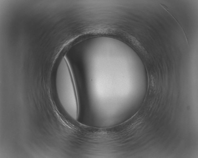 X0000054380588200507290859