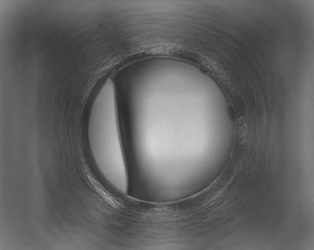 X0000054380589200507290859