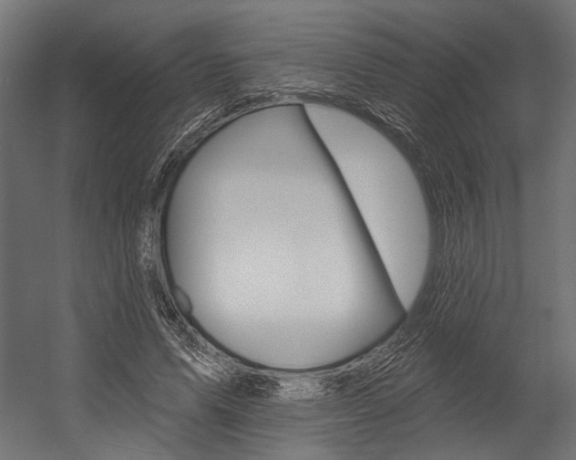 X0000054380591200507290859