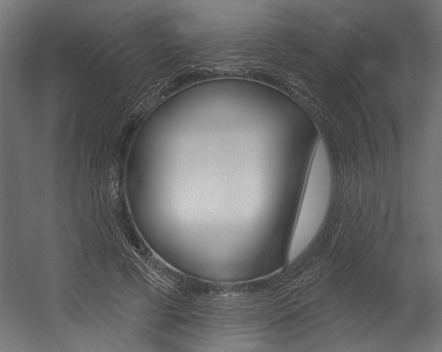 X0000054380593200507290859