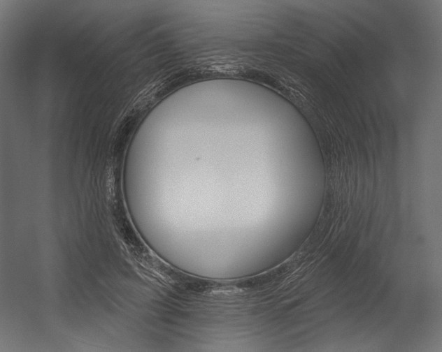 X0000054380595200507290859