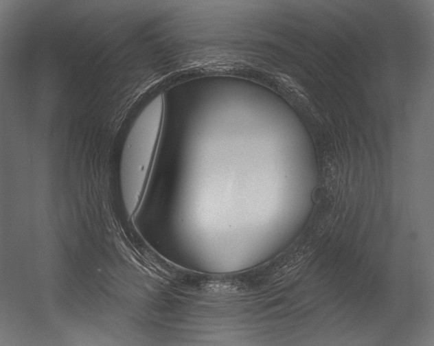 X0000054380596200507290859