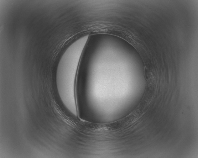 X0000054380600200507290859