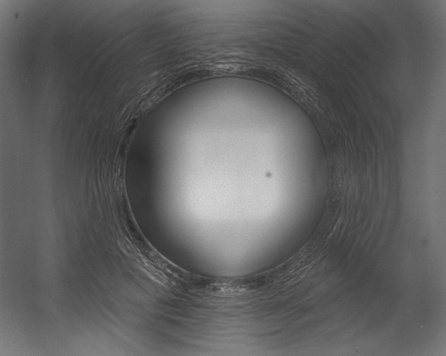 X0000054380601200507290859