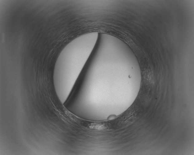 X0000054380602200507290859