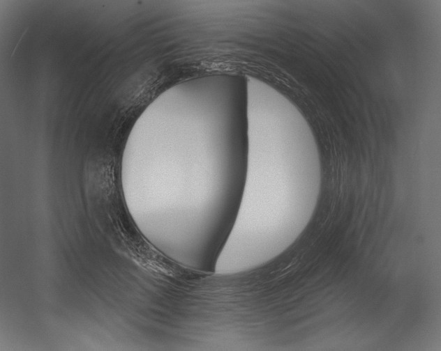 X0000054380603200507290859