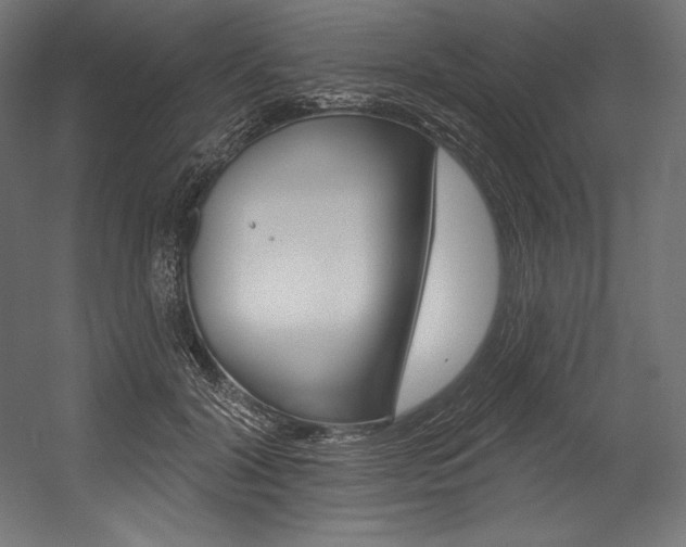 X0000054380604200507290859