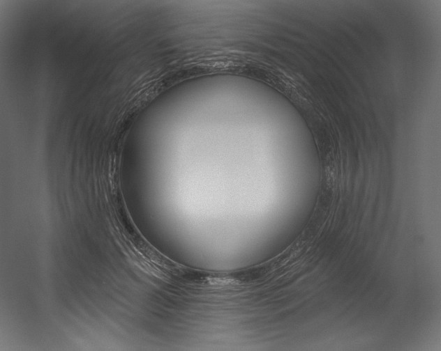 X0000054380605200507290859