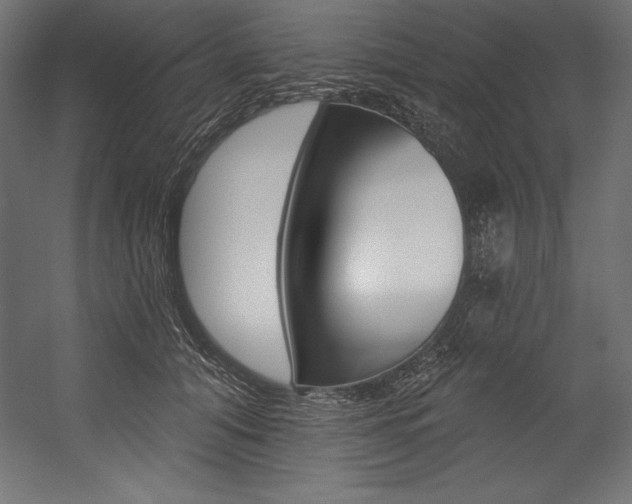X0000054380608200507290859