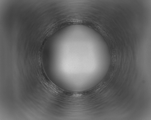 X0000054380609200507290859
