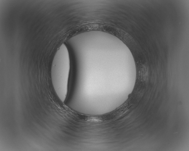 X0000054380610200507290859