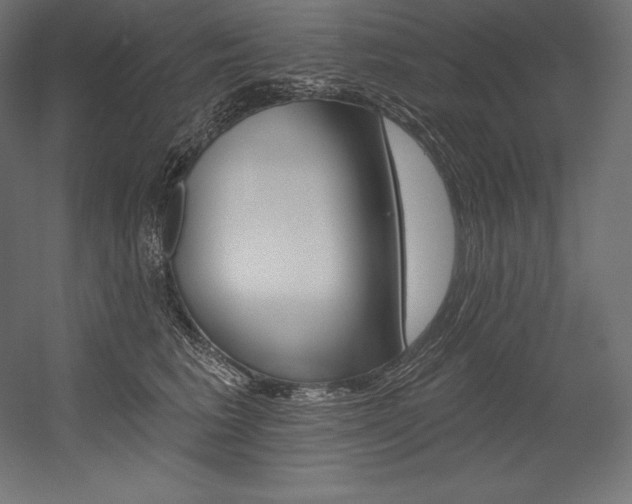 X0000054380613200507290859