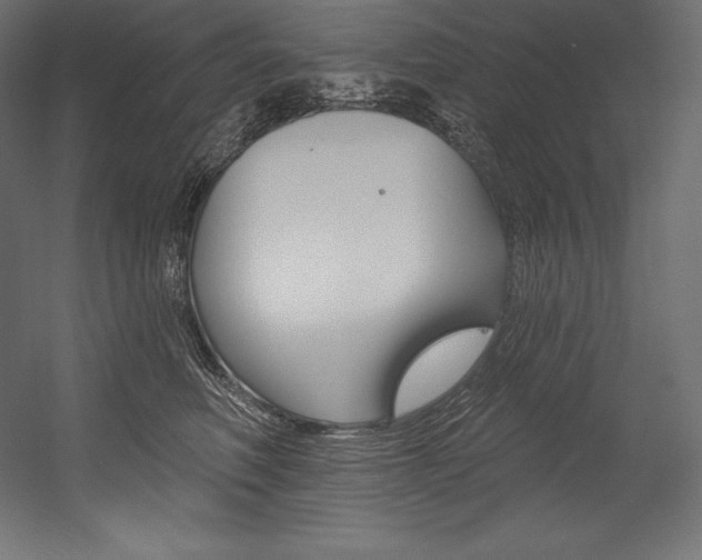 X0000054380614200507290858