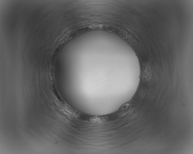 X0000054380616200507290858