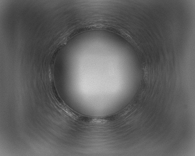 X0000054380617200507290858