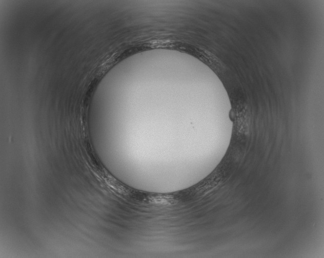 X0000054380618200507290858