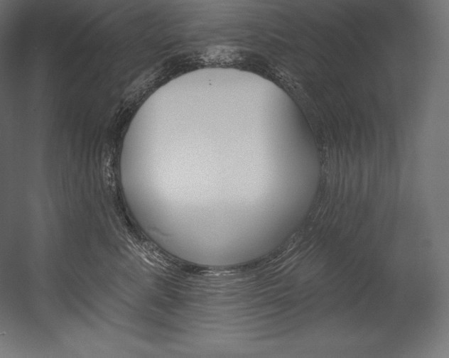 X0000054380619200507290858