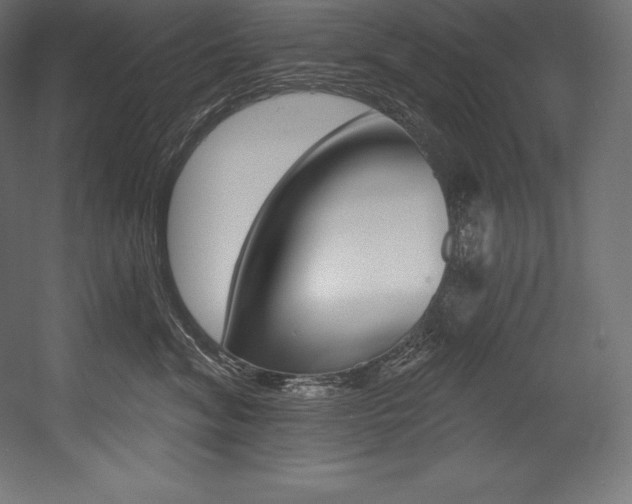 X0000054380620200507290858
