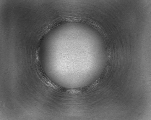 X0000054380621200507290858