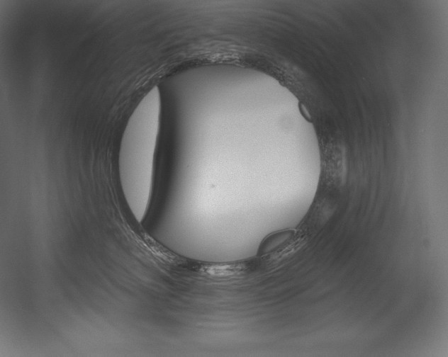X0000054380622200507290858