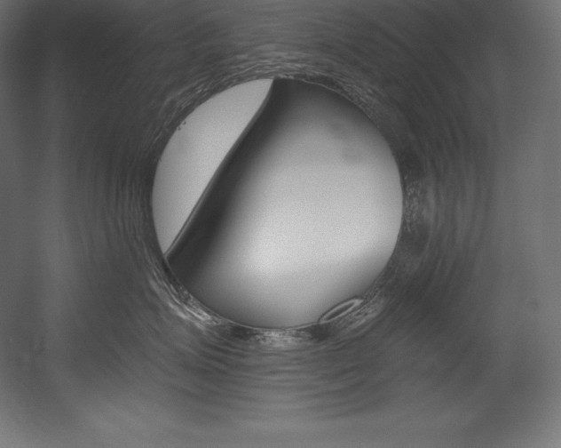 X0000054380623200507290858
