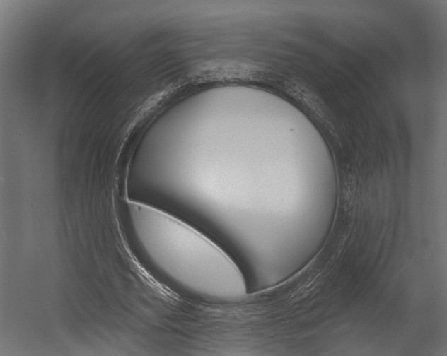 X0000054380629200507290858