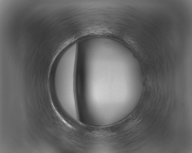 X0000054380630200507290858