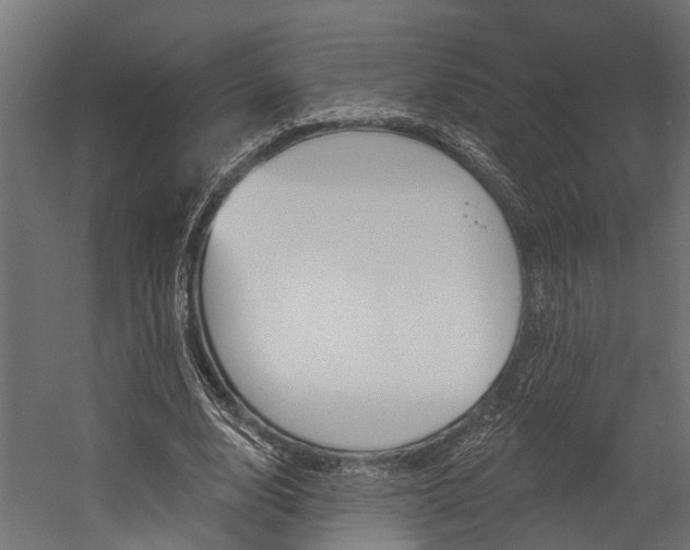 X0000054380632200507290858