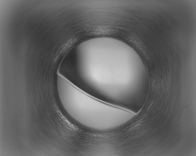 X0000054380633200507290858