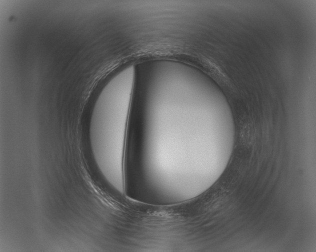 X0000054380635200507290858
