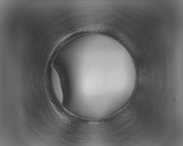X0000054380636200507290858