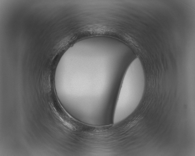 X0000054380638200507290858