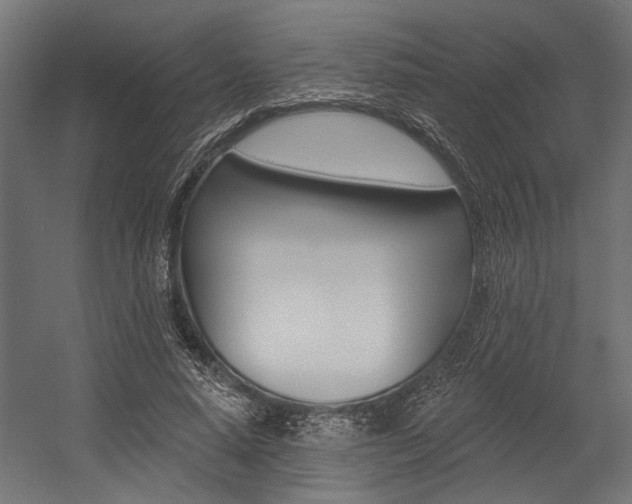 X0000054380640200507290858