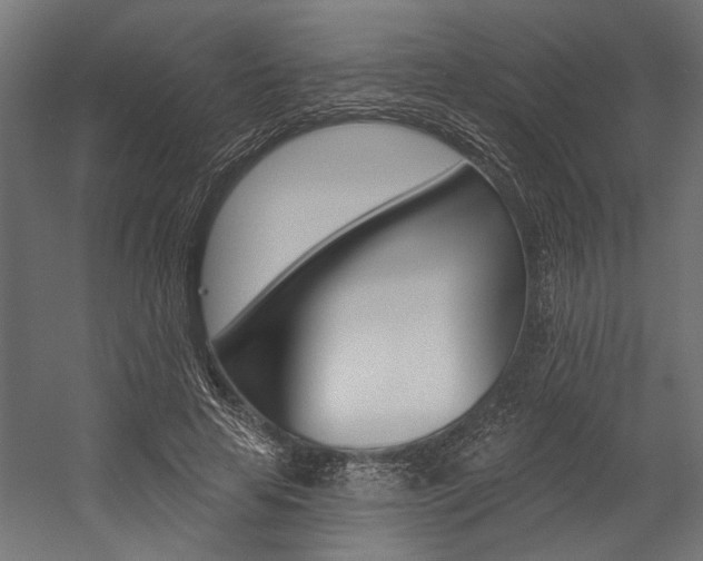 X0000054380641200507290858