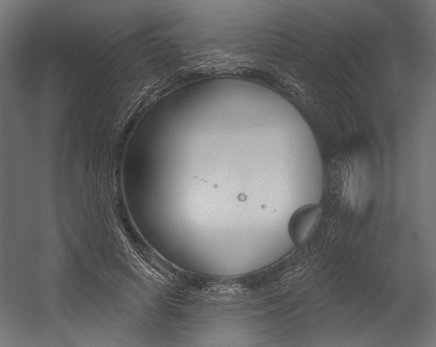 X0000054380642200507290858
