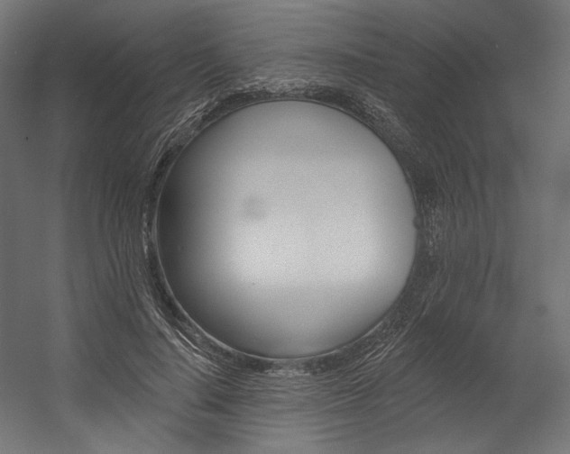 X0000054380644200507290858