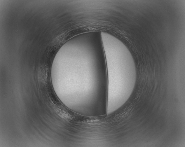 X0000054380645200507290858