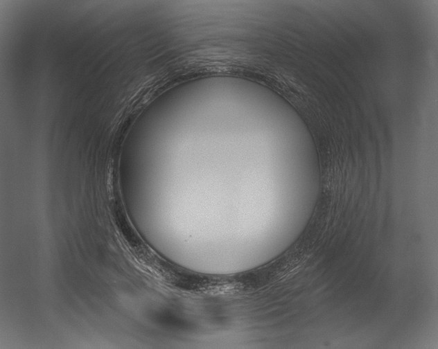 X0000054380646200507290858