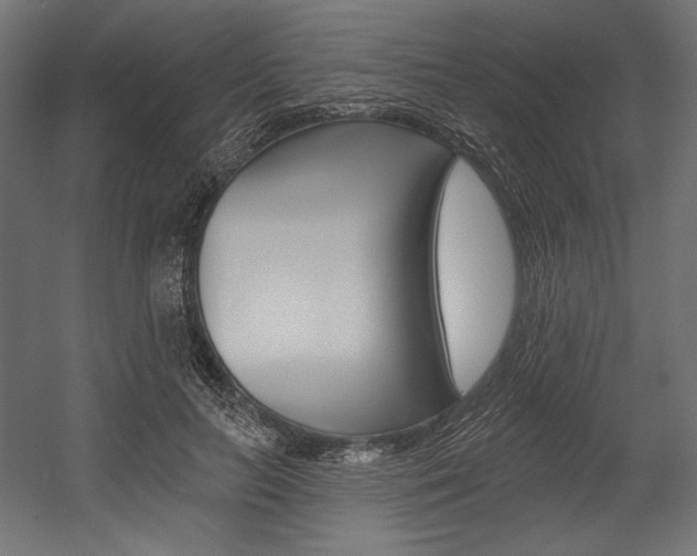 X0000054380647200507290858