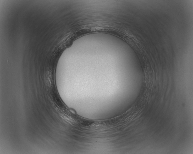 X0000054380648200507290858