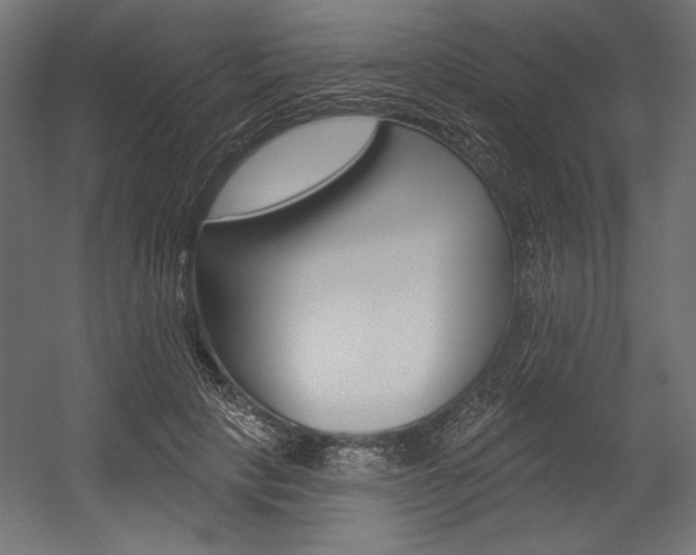 X0000054380649200507290858