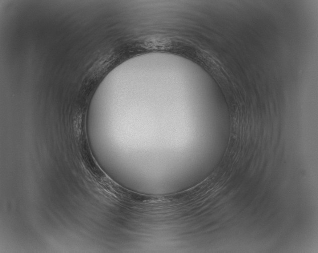 X0000054380652200507290858