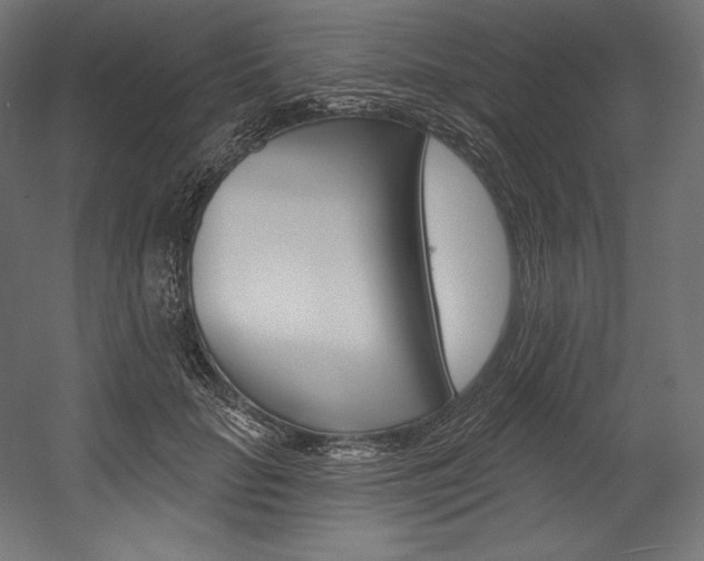 X0000054380653200507290858