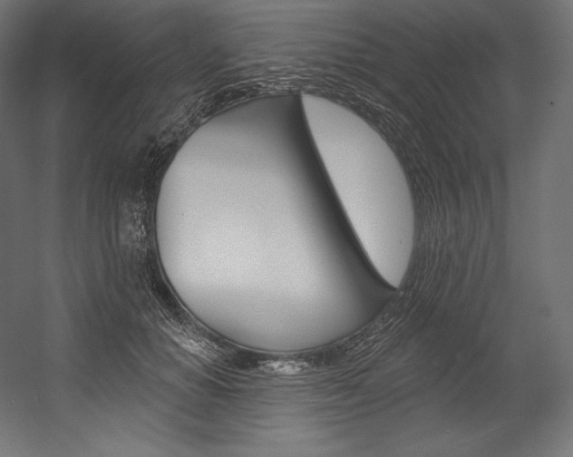 X0000054380654200507290858