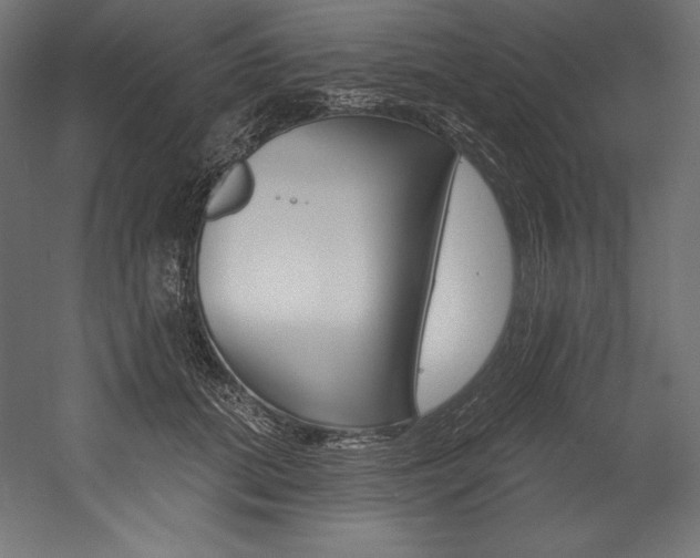 X0000054380655200507290858