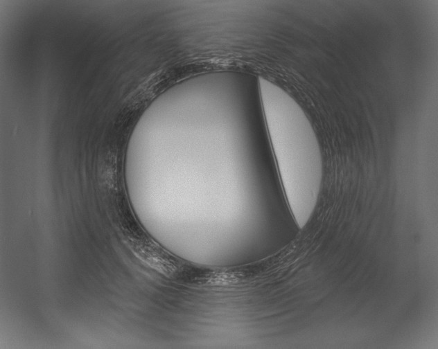 X0000054380656200507290858